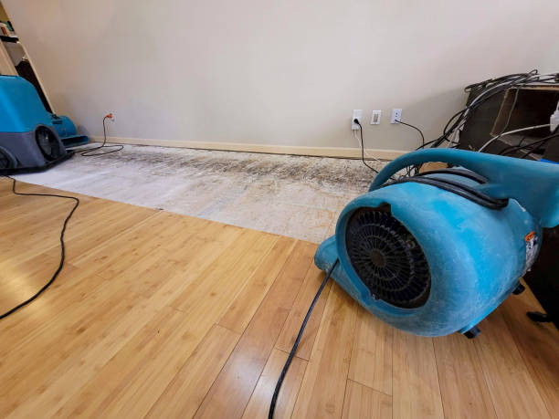 Professional Structural Drying technician working in Colville, WA